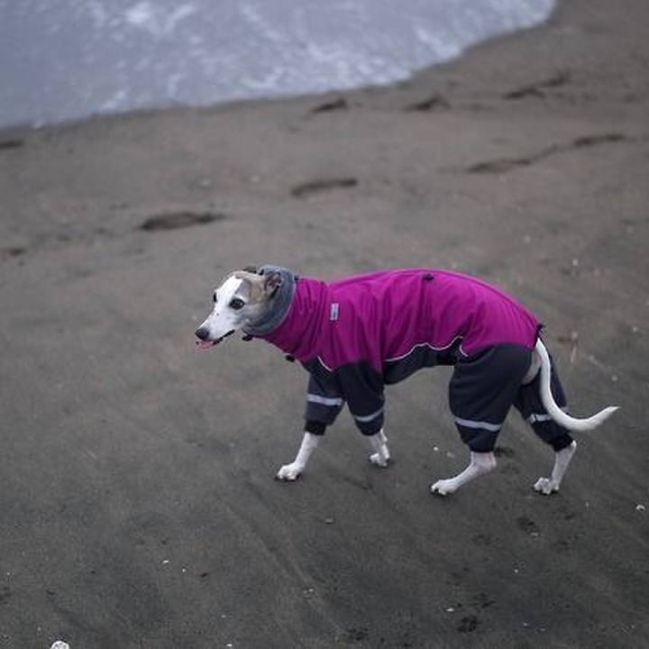 Ea134af4 7fca 4923 a602 c979c6052bf8 1518600833668