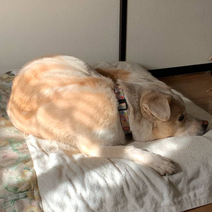 Ea13545e 1661 490a 8ad7 5c72e27ec0ca 1572826402674