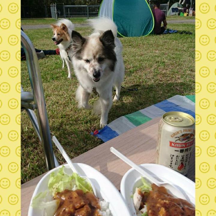 Ea1356ad 1385 4f9a 9088 a644c0578acc 1571665477590