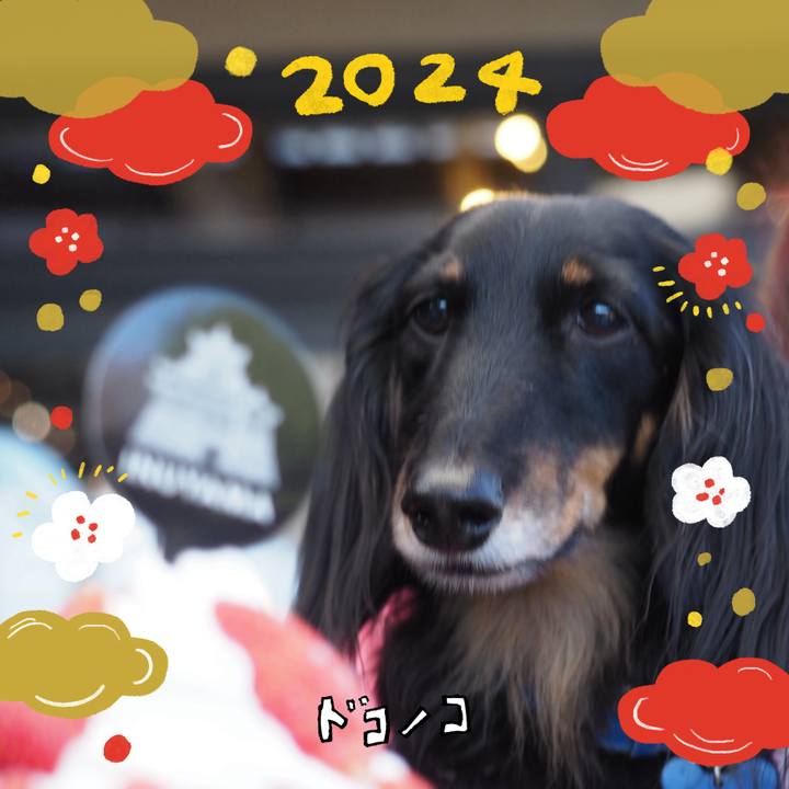 Ea136d11 d373 4704 81cb bc2251a36af5 1704111679561