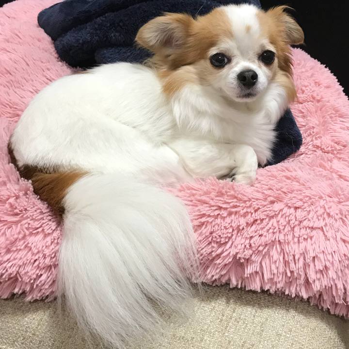 Ea1377c3 5f41 493d 892e bebdd24b330c 1525440283934