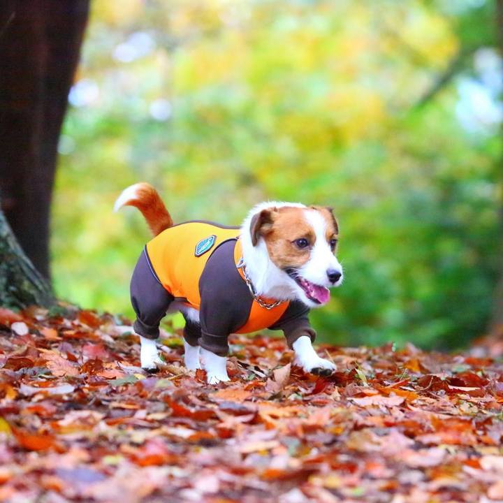 Ea137c53 3f14 4ce8 b9c6 5568675ed066 1535680750383