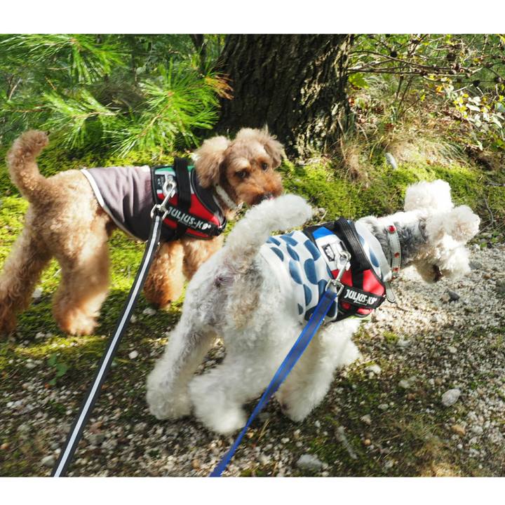 Ea137e24 728b 4cb4 9970 25070595091c 1507603824835