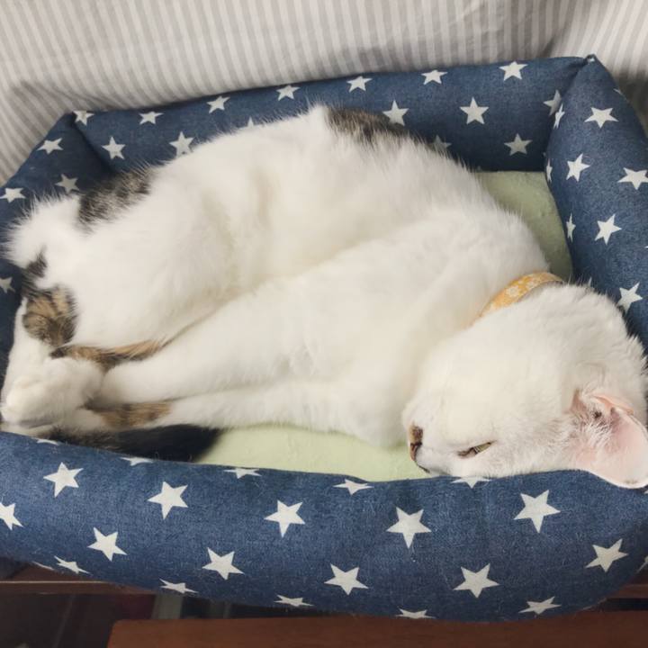 Ea1386cb ccae 43d8 b32f b27c075c5ea9 1537845577231