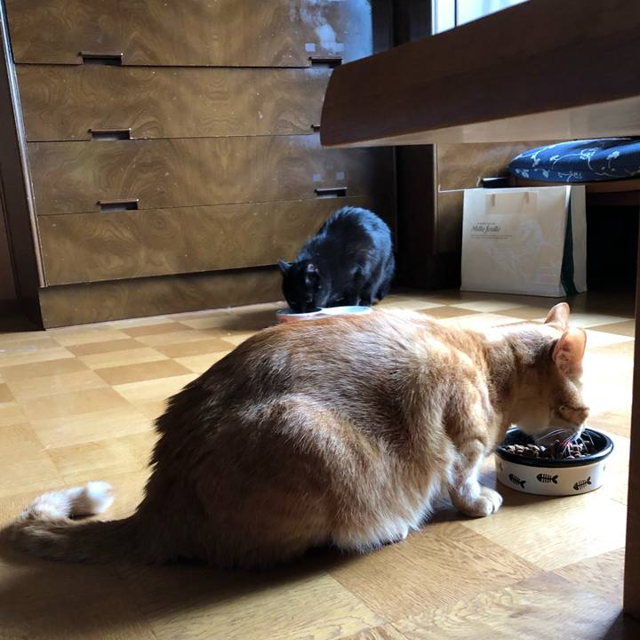 Ea1394f8 e959 4521 99b5 768bf826d0f7 1568610169696