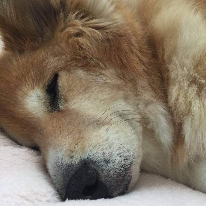 Ea13be2d c389 4416 a640 d4e3de6b2604 1537931935932