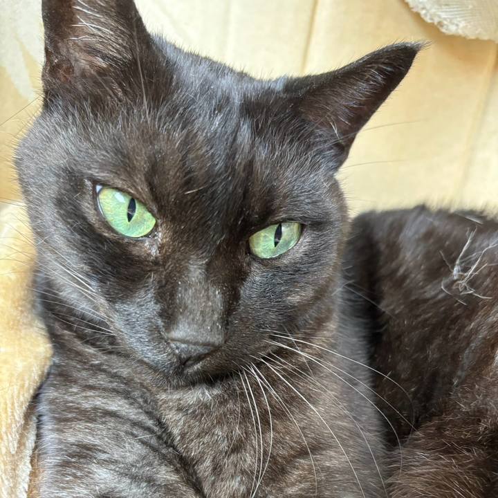 Ea13c66b ea3d 4536 92f0 7fefa718005c 1758688030406