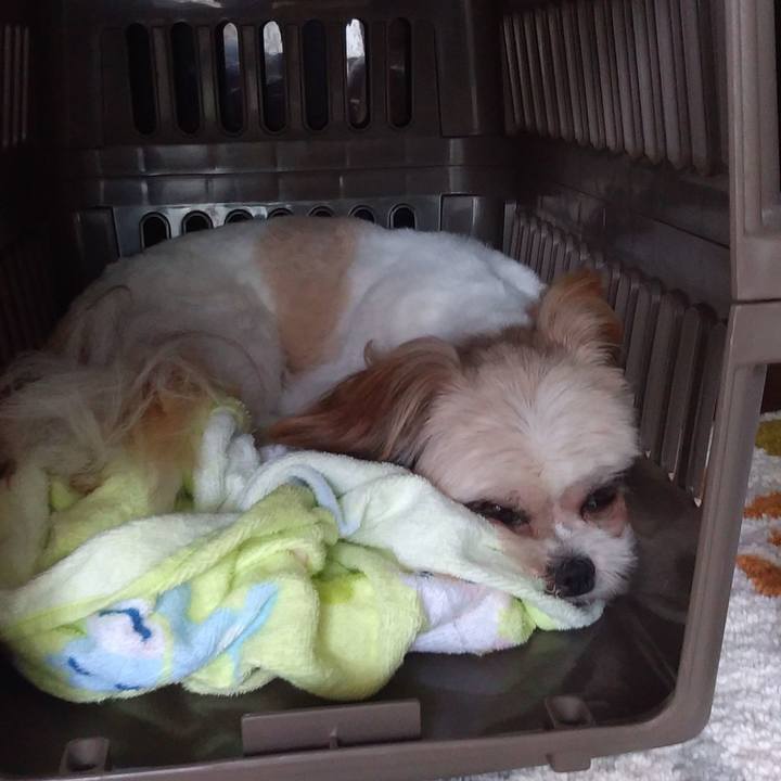 Ea13fe86 ebc2 4146 99d6 592ed83cea1f 1596501167532