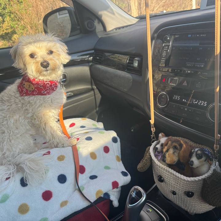 Ea14097f d30b 49a8 a4f9 4266db41df69 1769827501179