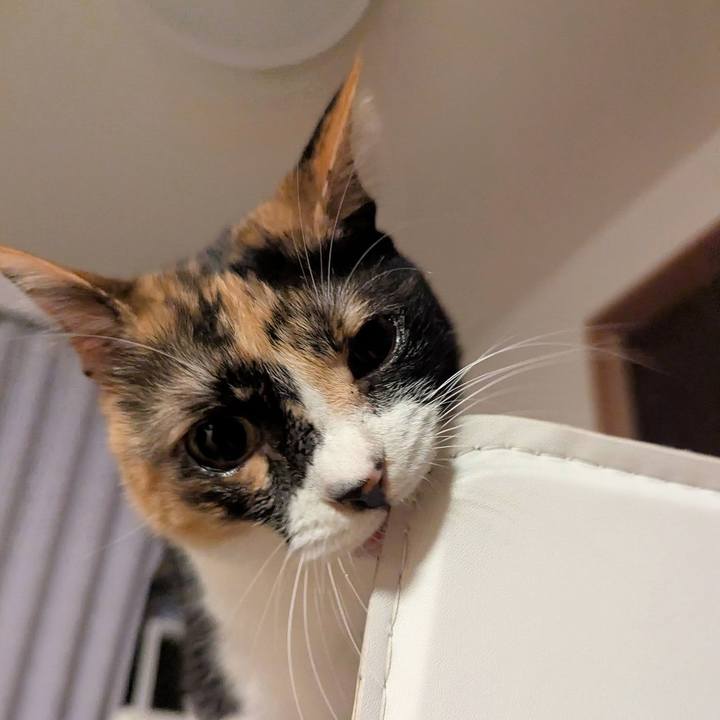 Ea14571a bc50 43db 999f aba10d14d677 1758852954820