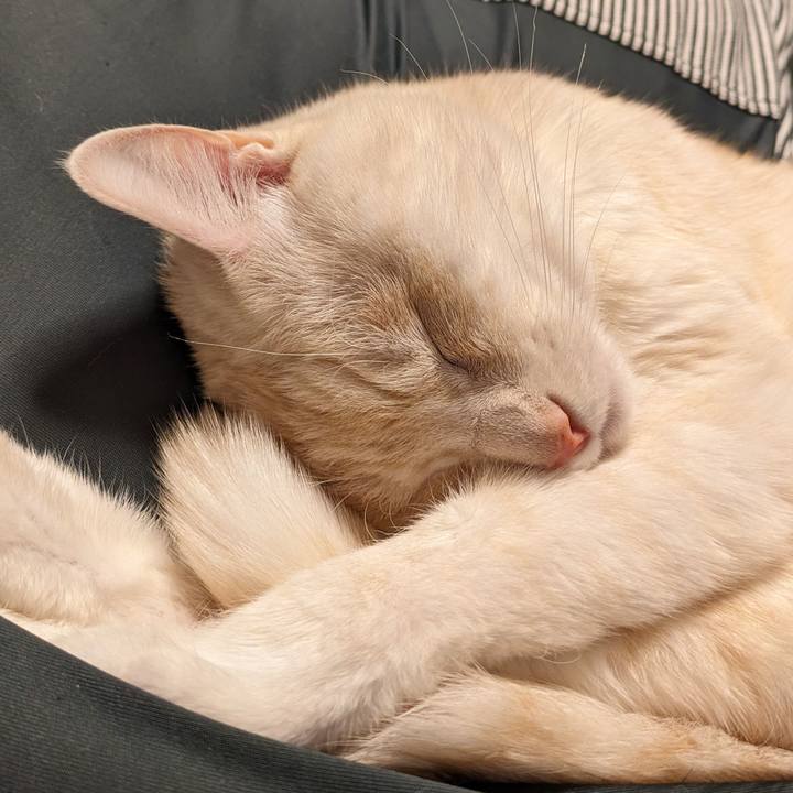 Ea14595e 7f42 49dc 8365 983ff8012c88 1705149728632