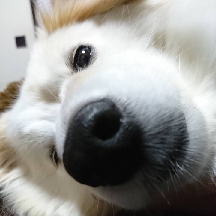 Ea148236 3514 4299 9cf8 a2e09f390fda 1525550442531