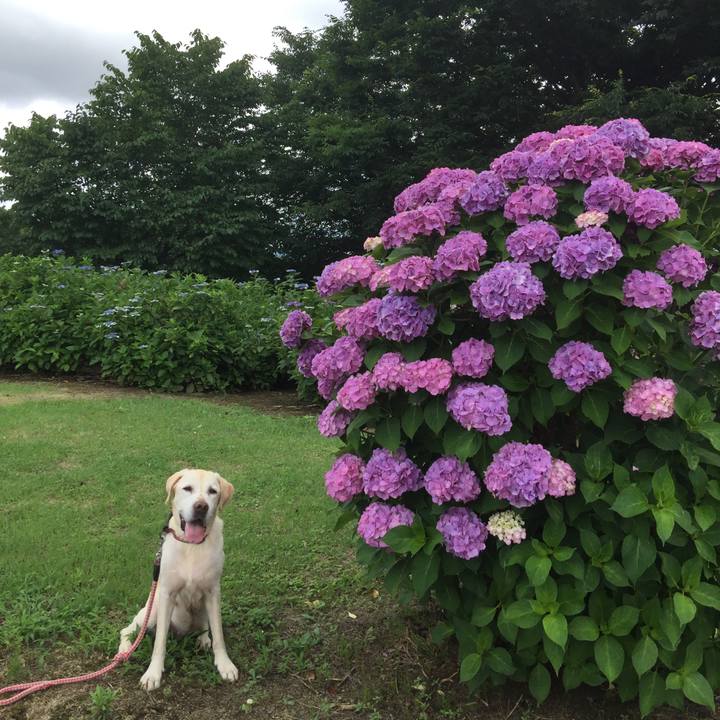 Ea14915e bfd3 4a6b b366 57055c059f64 1547299009005