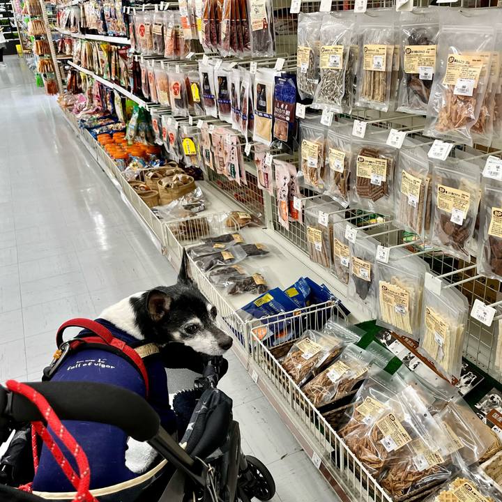 Ea14e2bc cb1a 451e a1c3 d2b15b53c303 1647148891322