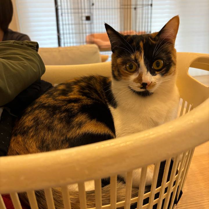 Ea153a79 55d6 495d 9886 6252e6f70b73 1772437174135