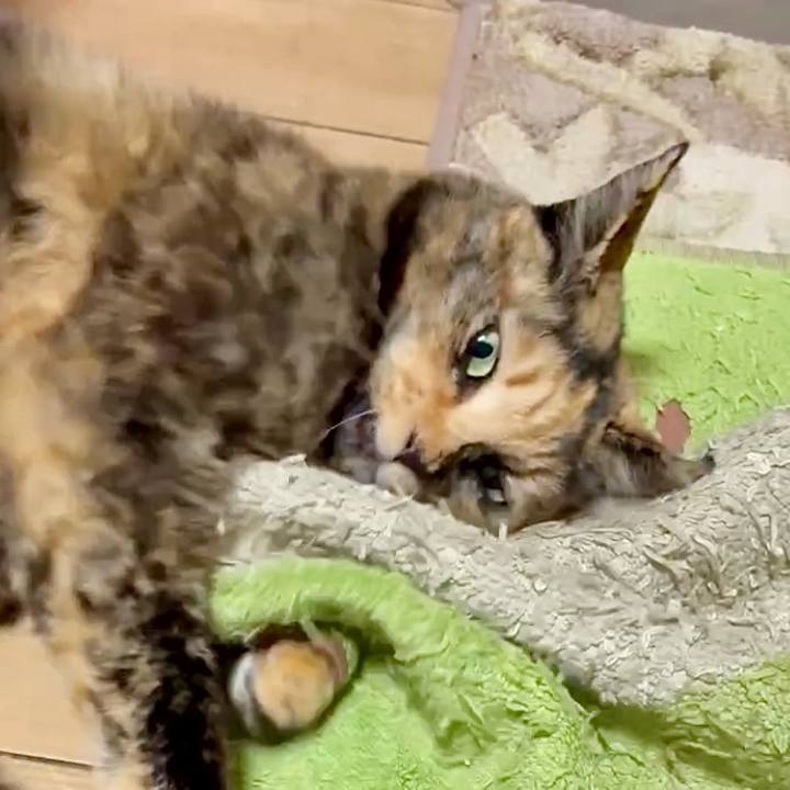 Ea156c06 5e73 465d b0b6 6ab2b21de4f3 1773172153442