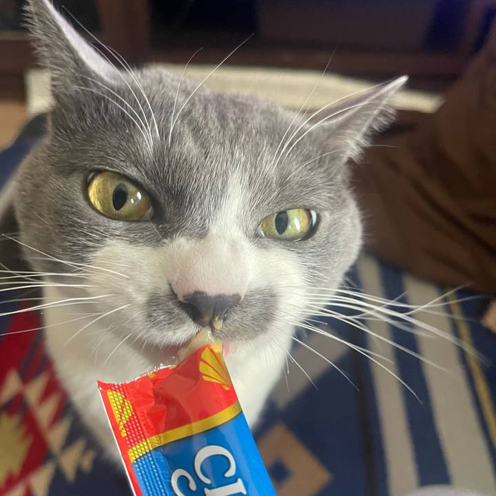 Ea158265 578a 4fc3 91a8 e6e16b5c02d1 1677565326860