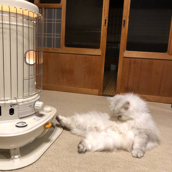 Ea15ae00 ce5e 46f9 8244 5f3f333153cd 1608383358812