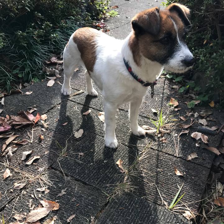 Ea15d58e 76c4 45ff 8490 7302ad381b3e 1511671351249