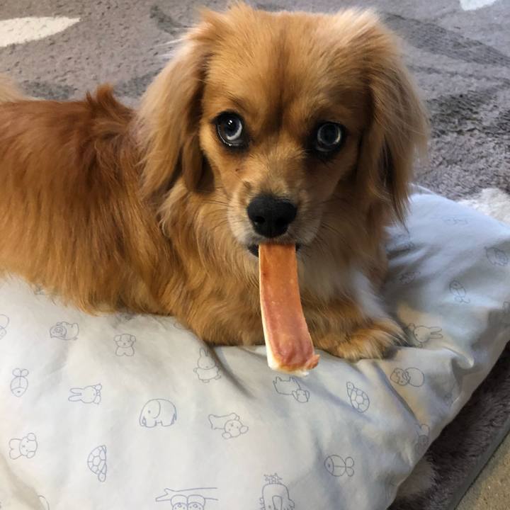 Ea162cfc 78f1 4b04 beec 0e137a33f408 1528059862680