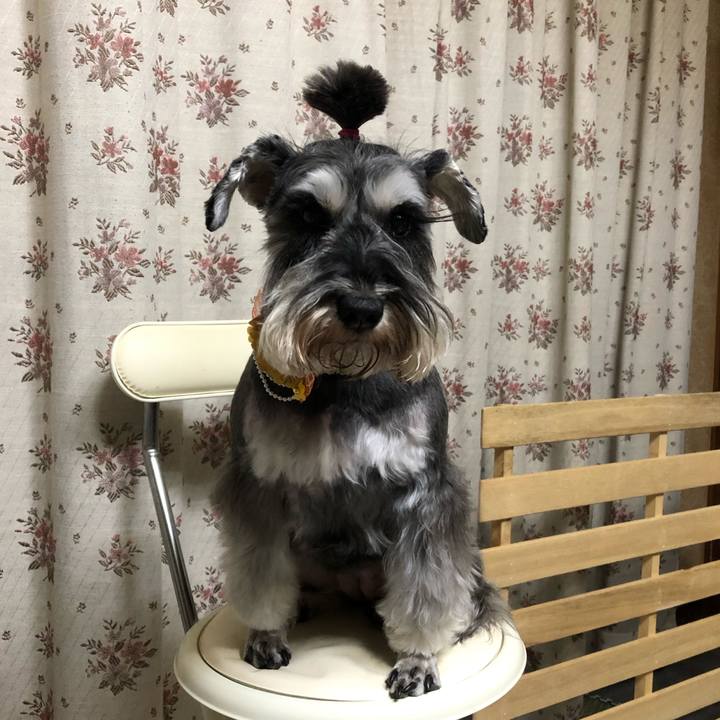 Ea163a50 8ead 47de a56f 7951e6f60e0b 1613477264879