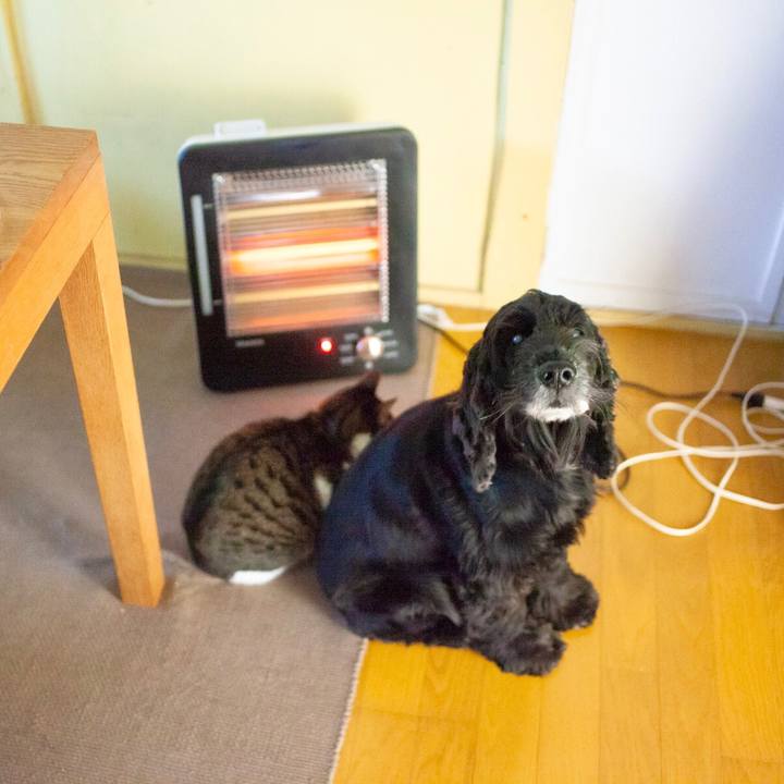 Ea166306 f433 45d0 9b6e e094377f214b 1609122222704