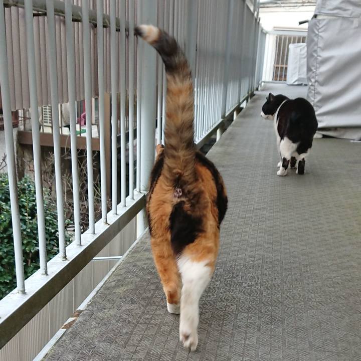 Ea166e58 9be1 4f63 afef a9f162437791 1648128925519