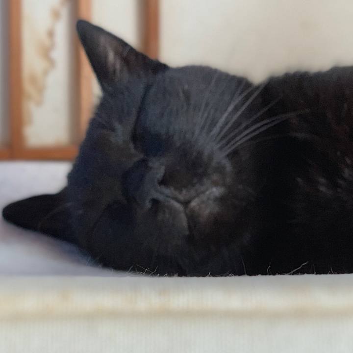 Ea16a5c8 c28b 444f b169 fb936772486a 1564617327279