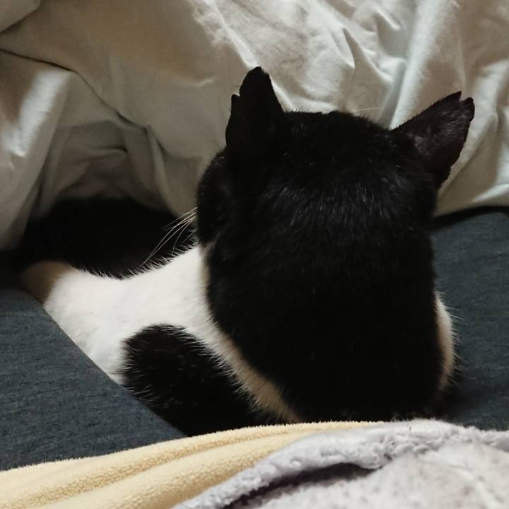 Ea16ad4c 730d 48d9 af94 217bb4aa1145 1675862673428