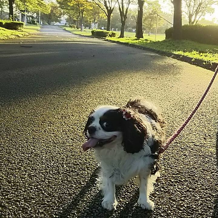 Ea16cf85 878b 4d21 b193 657453fcb4fe 1538898683263