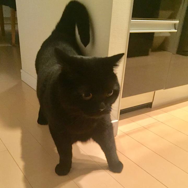 Ea16d3eb 1447 4721 9e07 a45ff17ca288 1563797632655