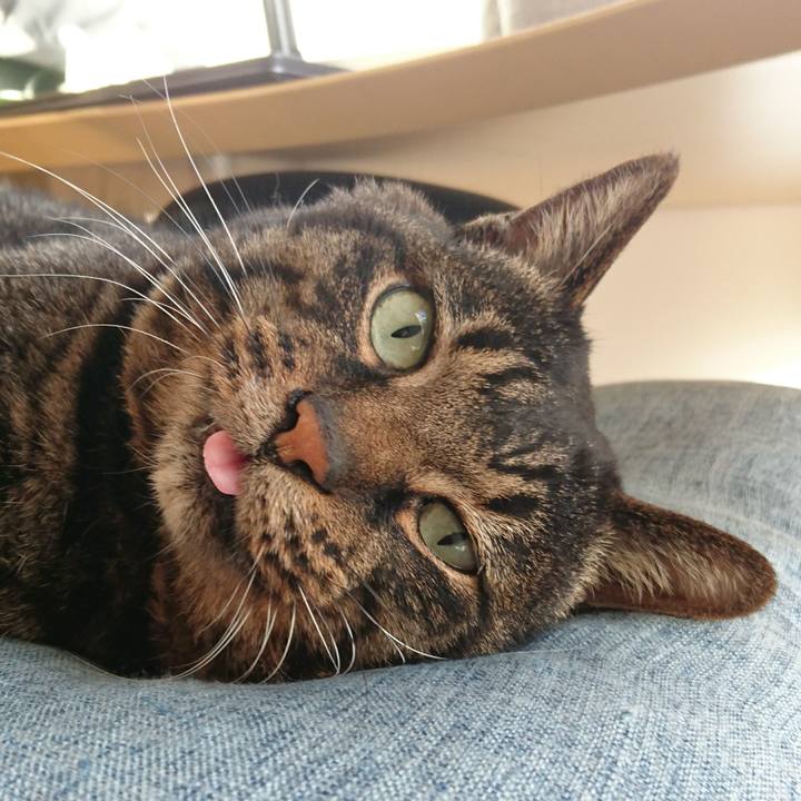 Ea170540 5d3f 4194 af65 6c55077e007f 1547619402077