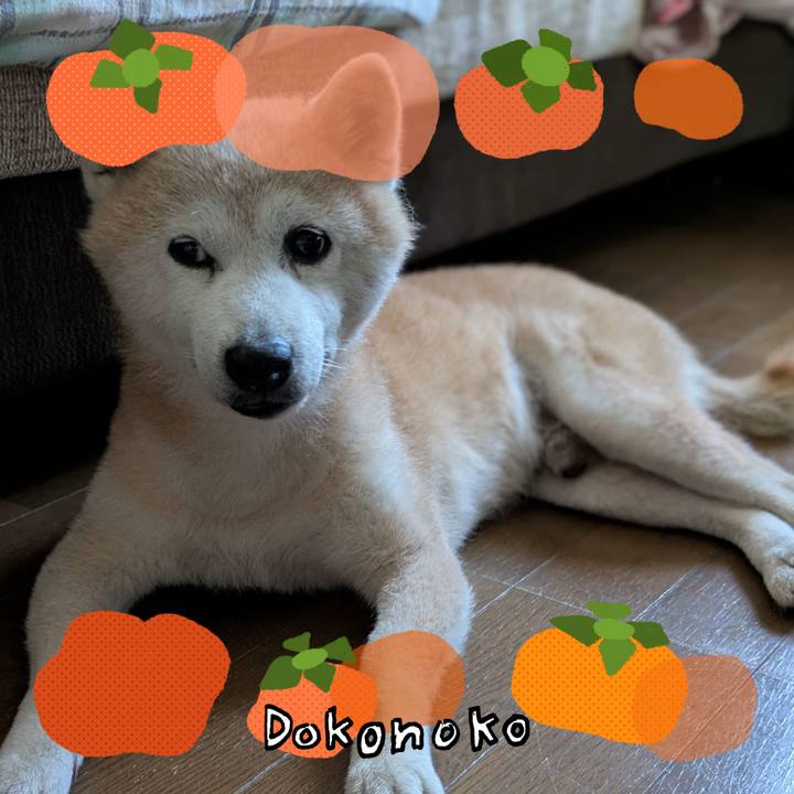 Ea1709fe 1f7a 45f6 ad7c 91eb91794e7e 1761128041847