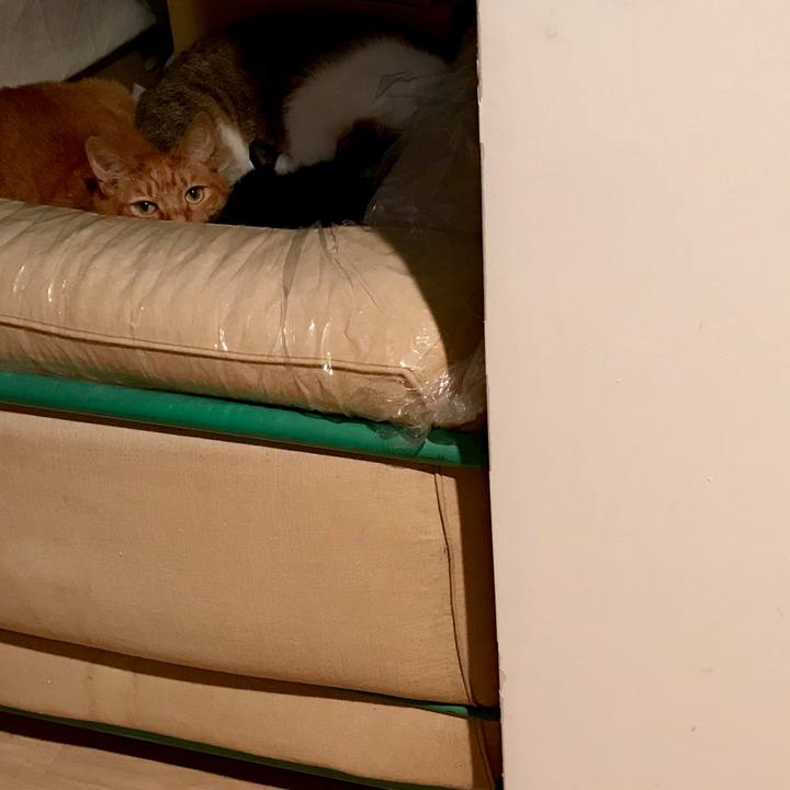 Ea172a69 3f36 4dcc 8c09 e0e24c4c5c66 1512018865597