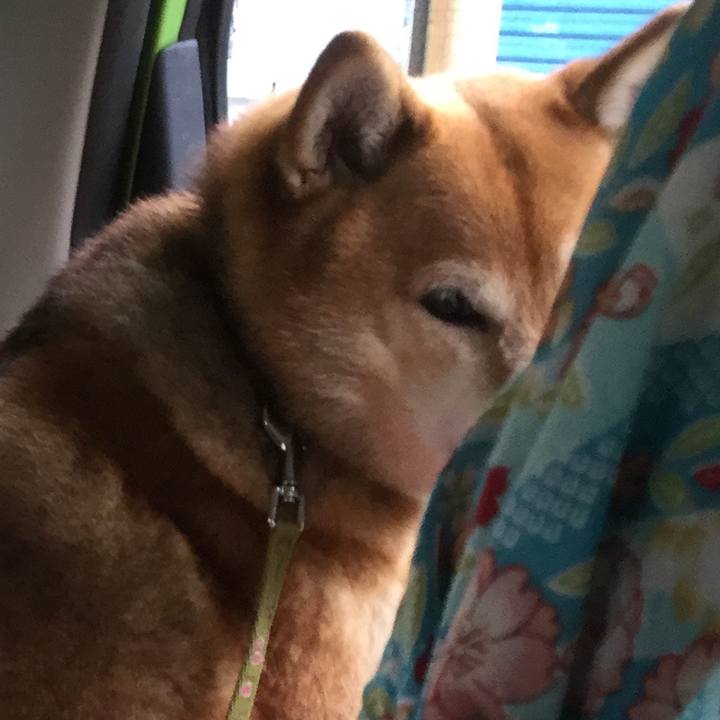 Ea172b8c 1413 41b2 bc8e ecb82c088239 1582343665105