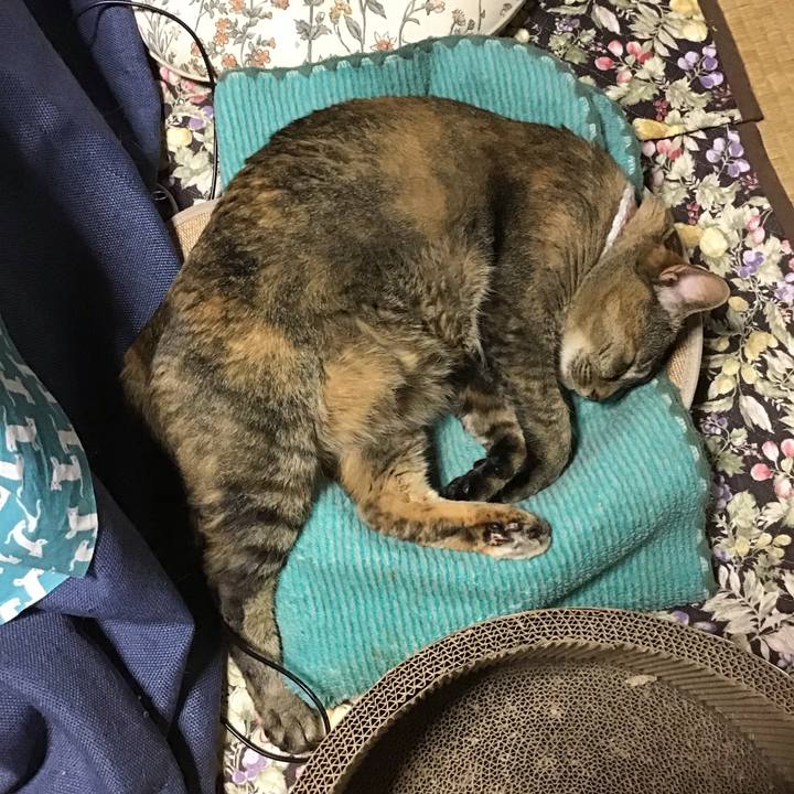 Ea173d7c 1855 43df 9bfb ed15678b69e7 1748944413992