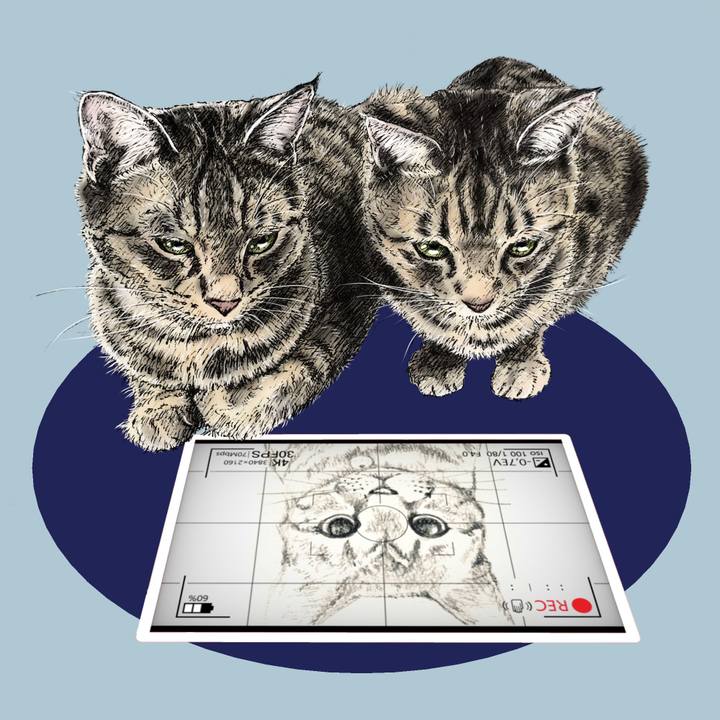 Ea1743ce b02b 4c83 bef6 4f893791eff5 1594901006664