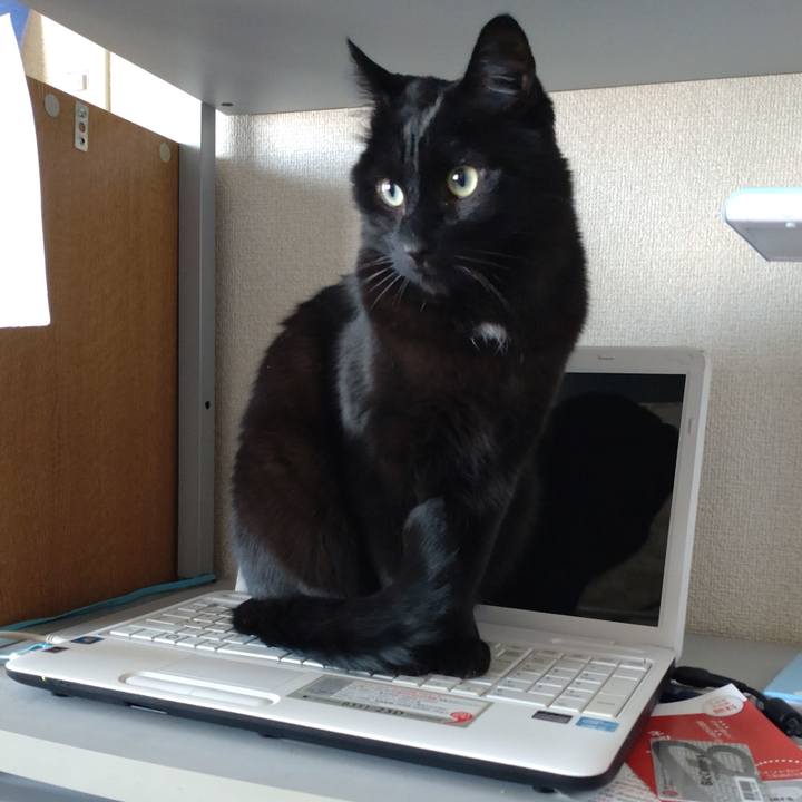 Ea174c0a 2975 45ce b56f 7bc0dc0eeb82 1647560294847