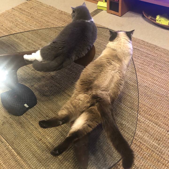 Ea1774ed 3b54 4865 90c8 673817430220 1625701432753