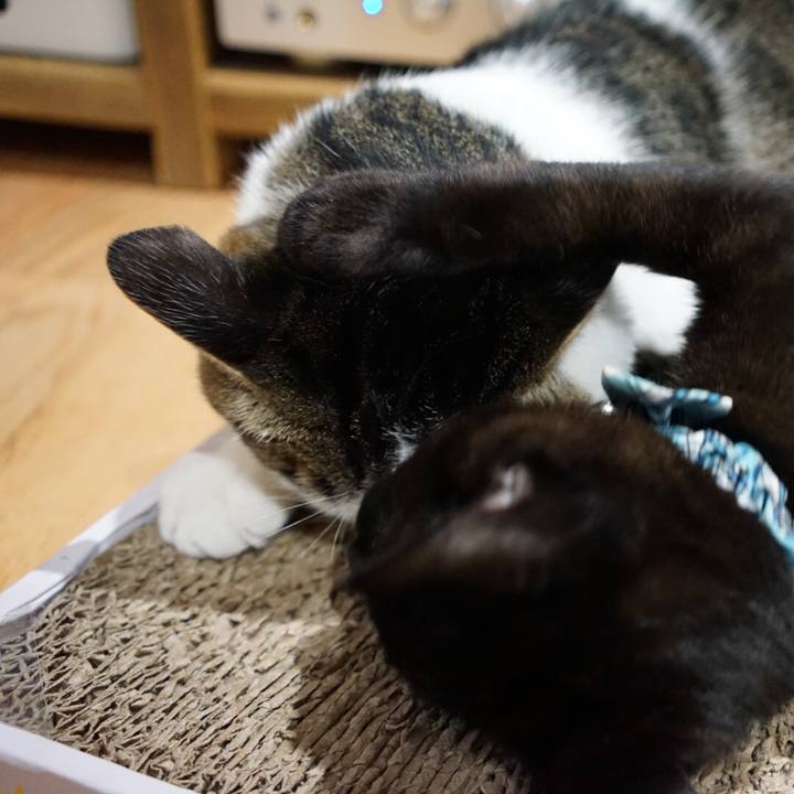 Ea179531 e114 42c9 bd27 86e45d47a390 1510011164562