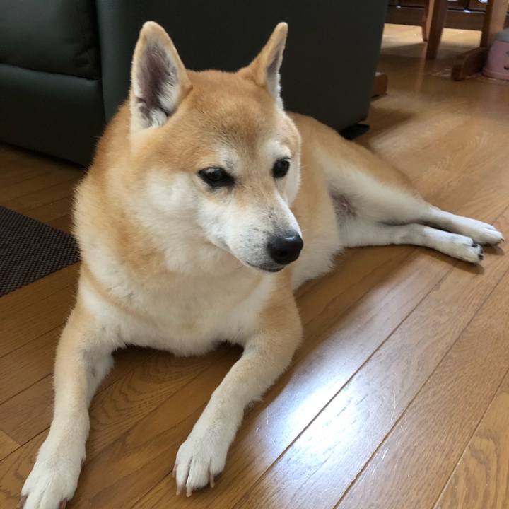 Ea17a4cc 3461 4005 8cc4 01f41c80f596 1567509680128