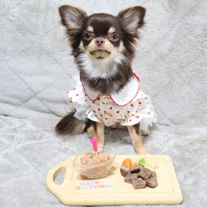 Ea17ac3d a48a 48d2 906e 80f4cd6442ca 1764824572154