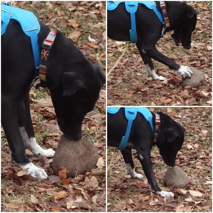 Ea17cf8d 6f80 406b 9909 79189f0352b4 1609893454912