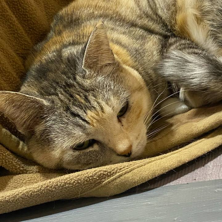 Ea17fad6 9750 4981 a5d1 a9beb2b3c100 1673361718430