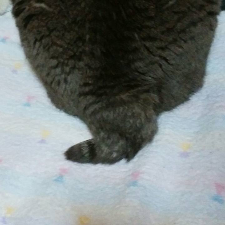 Ea17fd9d 9589 49f3 b379 3c1b8cc362ef 1548645246322