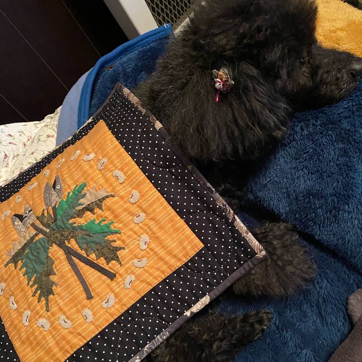 Ea181534 aac4 4cc8 a29a 41c833238178 1580771799040