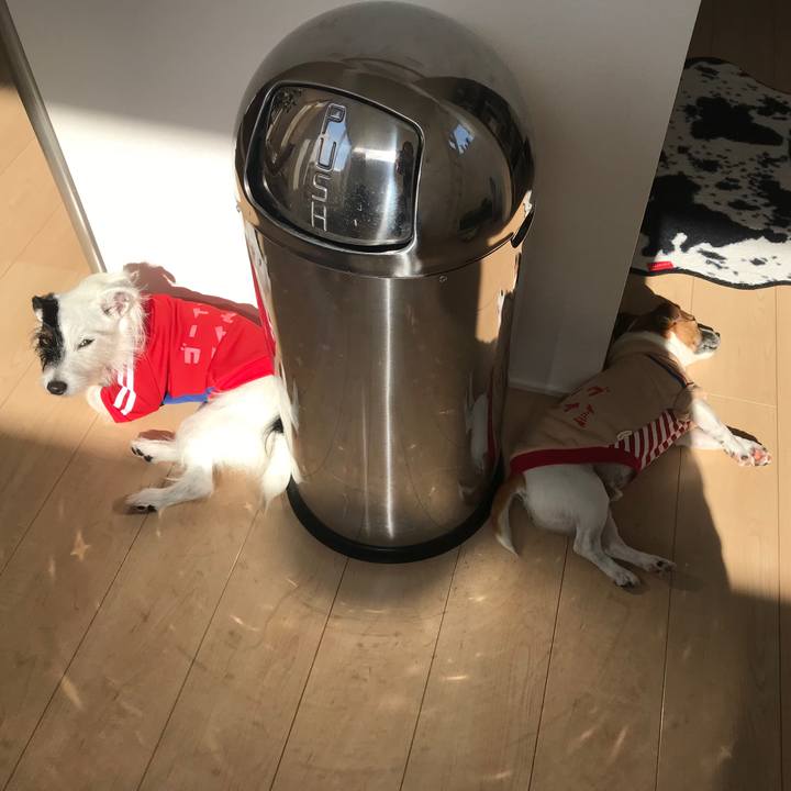 Ea1847b0 7eff 44c8 8ff5 de2f68c0fab0 1542336279573