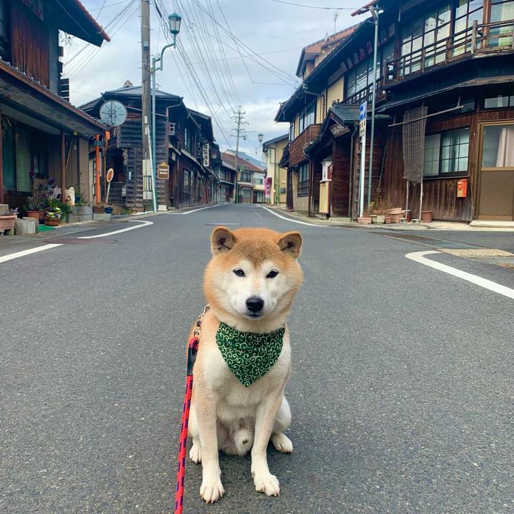 Ea18493c 81f9 4314 95d3 51279626e351 1672655160966