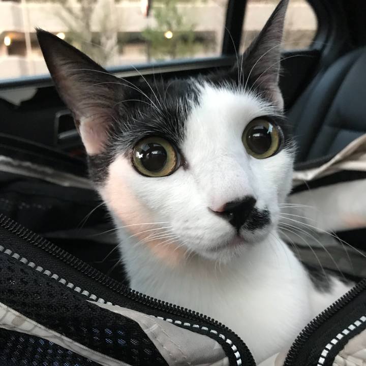 Ea18a711 ceec 4fc7 9b27 7ad37283ccbc 1522313836930