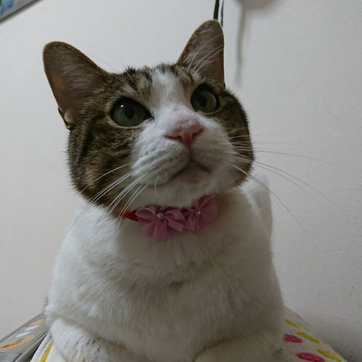 Ea18af66 db4b 4542 a9b7 6be2a3489a33 1516804177823